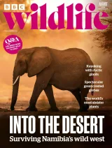 BBC Wildlife Magazine 1