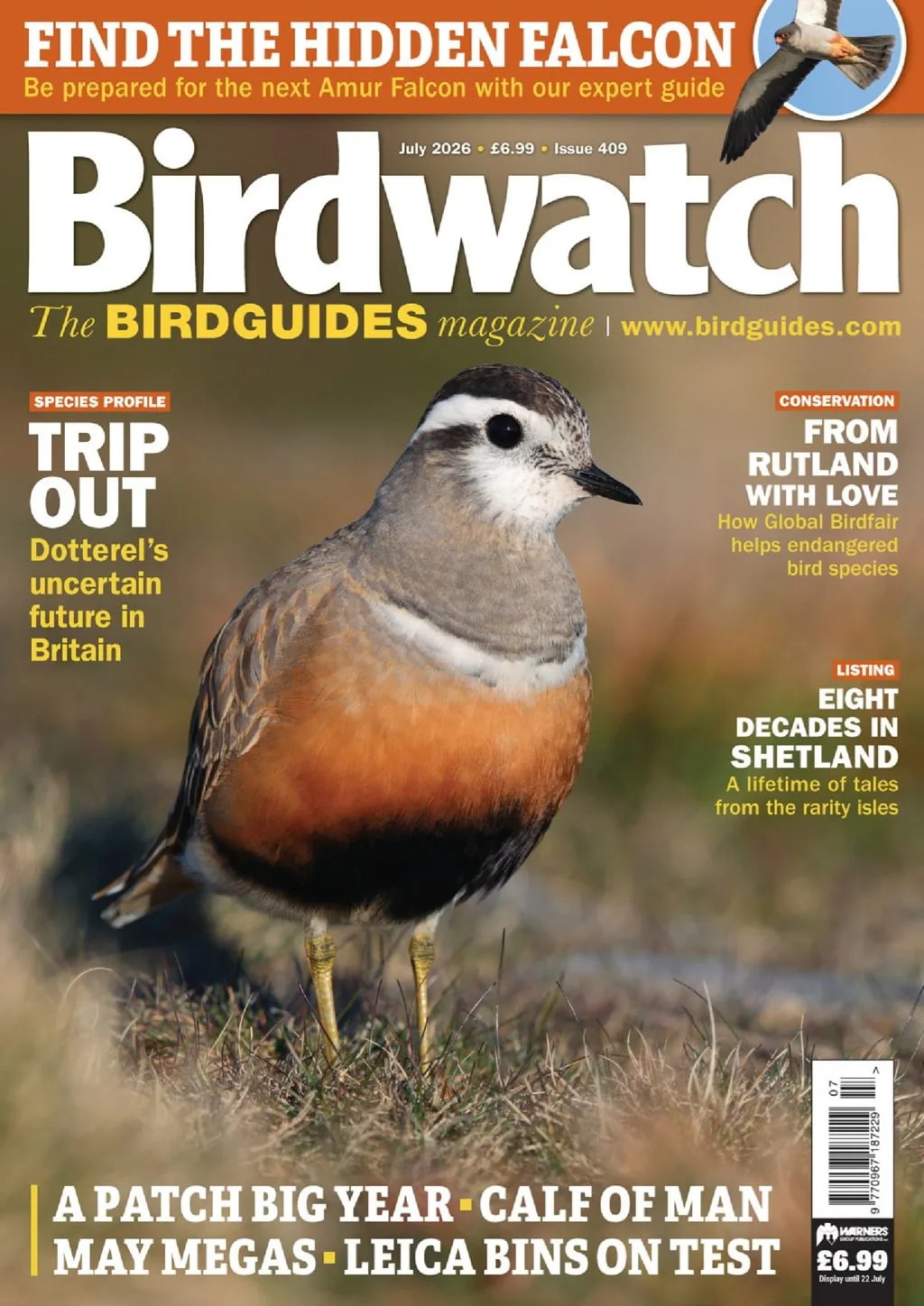 Birdwatch Magazine
