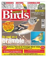Cage & Aviary Birds Magazine 1