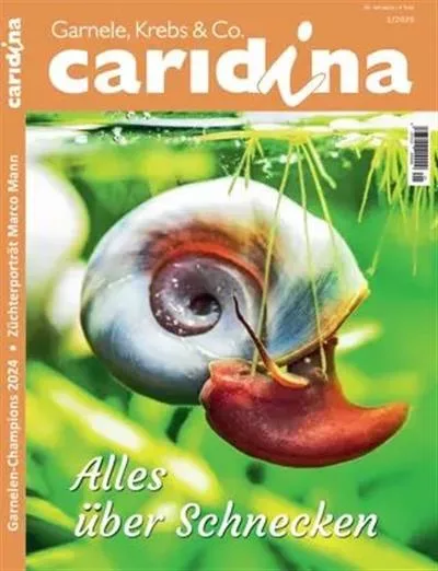 Caridina (Tysk)