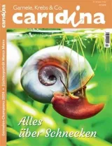 Caridina (Tysk) 1
