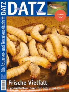 Datz (Tysk)