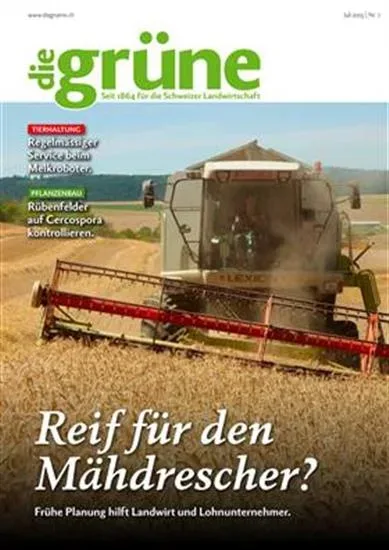 Die Grüne (Tysk)