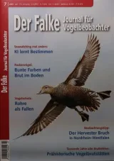Falke (Tysk) 1