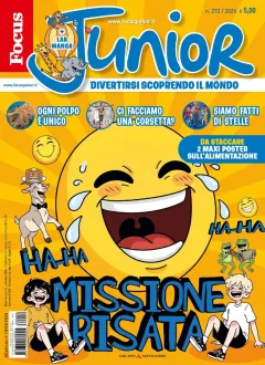 Focus Junior (Italiensk)