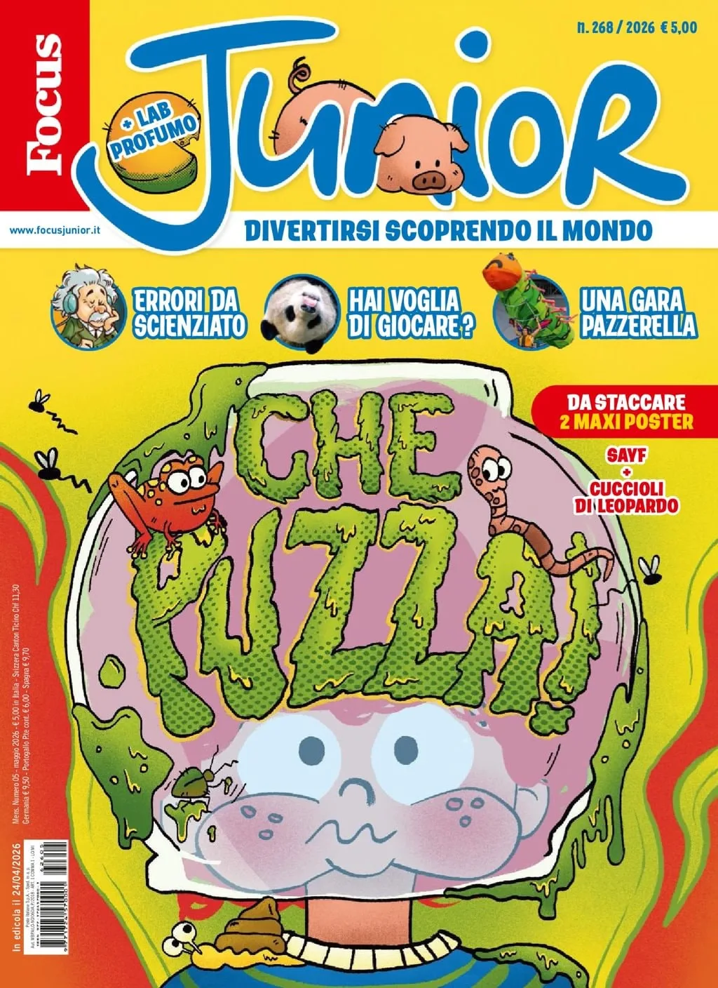 Focus Junior (Italiensk)