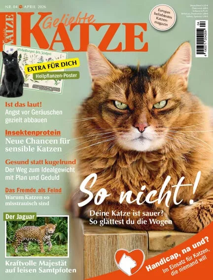 Geliebte Katze (Tysk)