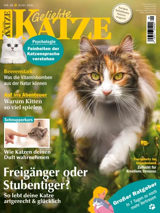 Geliebte Katze (Tysk)