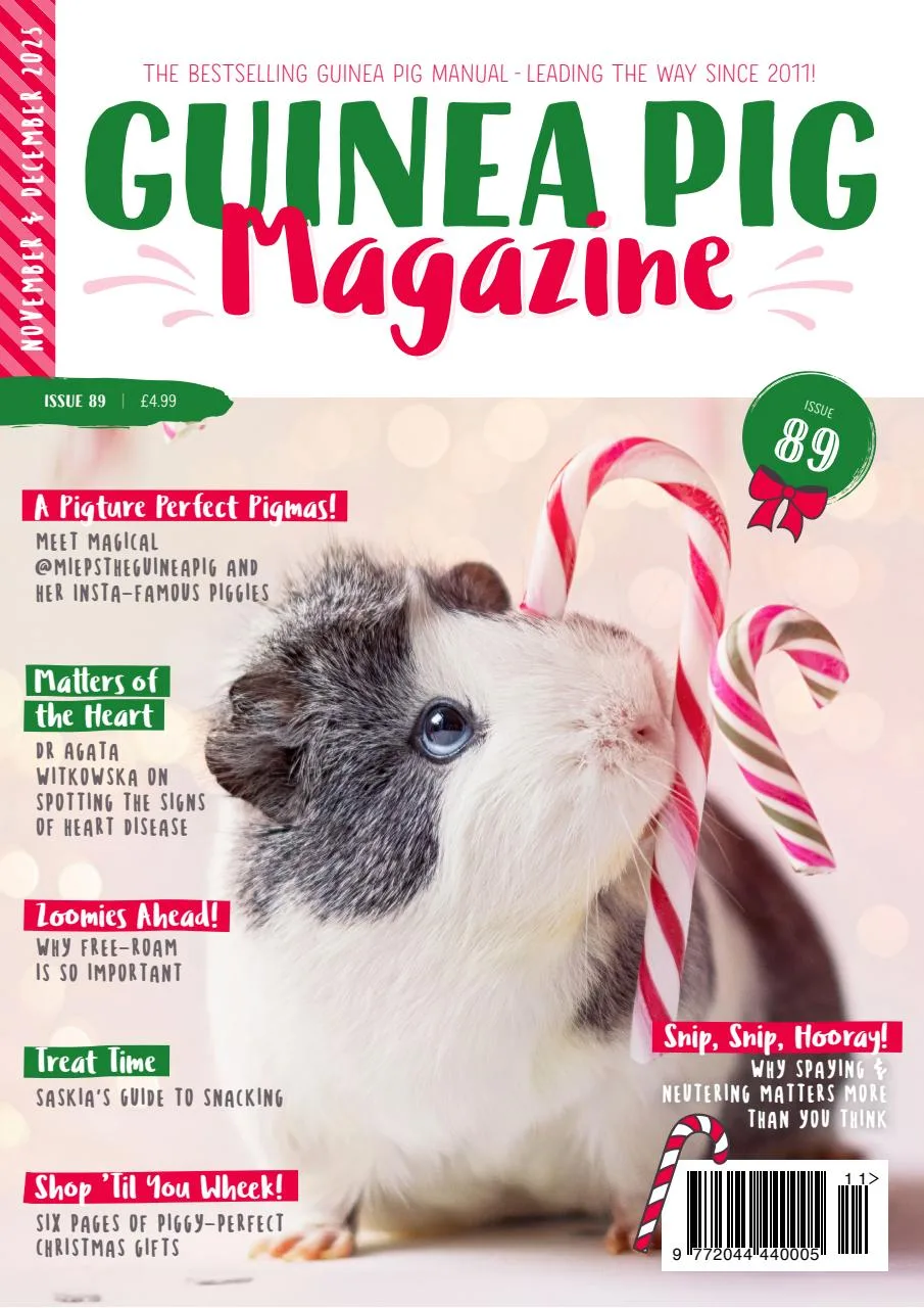 Guinea Pig