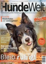 Hundewelt (Tysk) 1