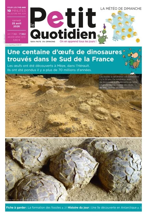 Le Petit Quotidien (Fransk)