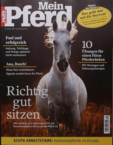 Mein Pferd (Tysk)