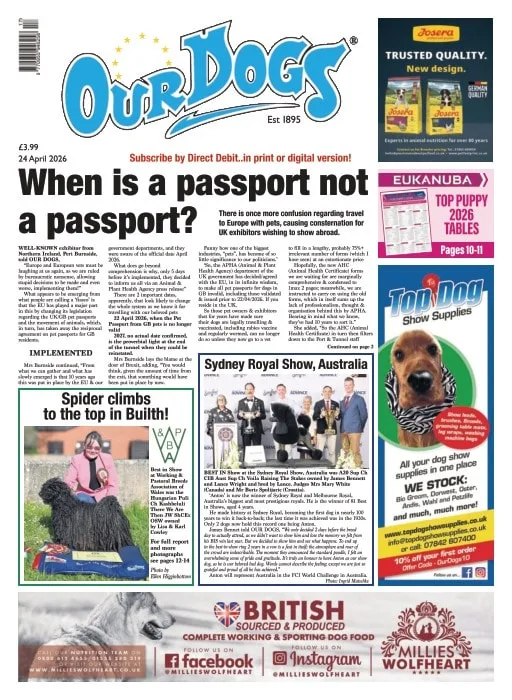 Our Dogs Magazine
