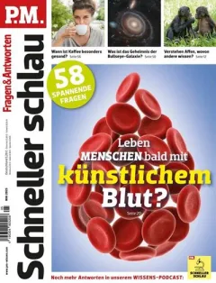 P.M. Schneller schlau (Tysk)