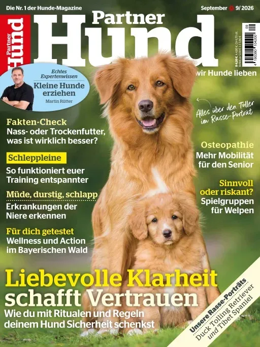Partner Hund (Tysk)