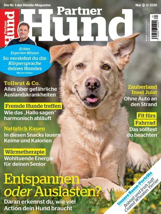 Partner Hund (Tysk)
