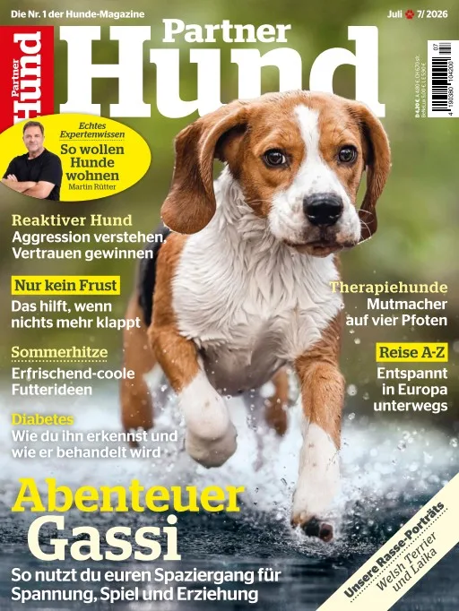 Partner Hund (Tysk)