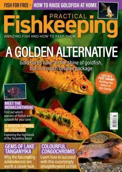 Practical Fishkeeping Magazine