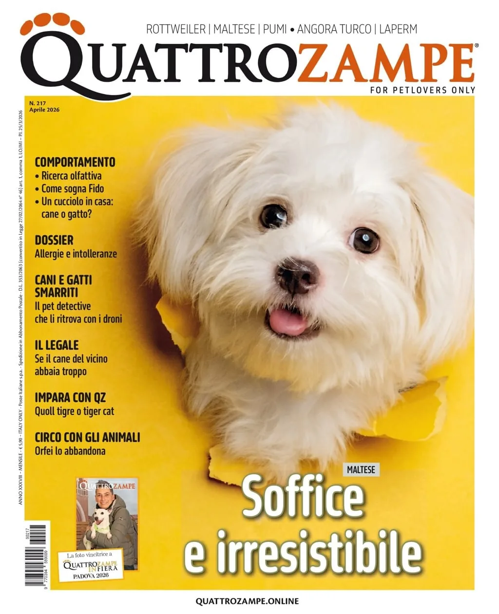 Quarter Horse Journal (Tysk)