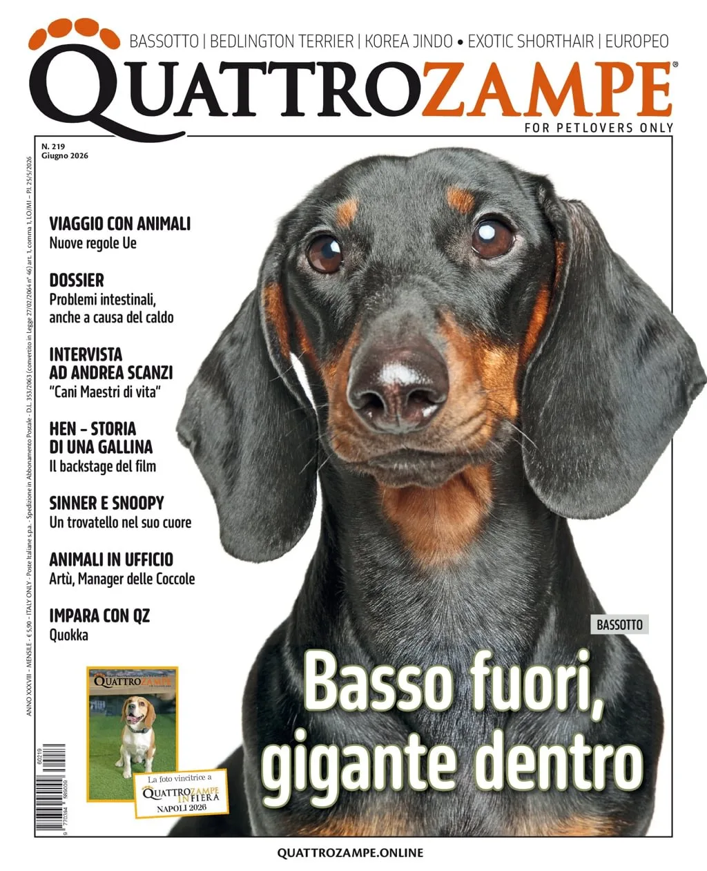 Quarter Horse Journal (Tysk)