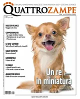 Quattro Zampe (Italiensk) 1