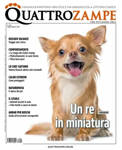 Quattro Zampe (Italiensk)