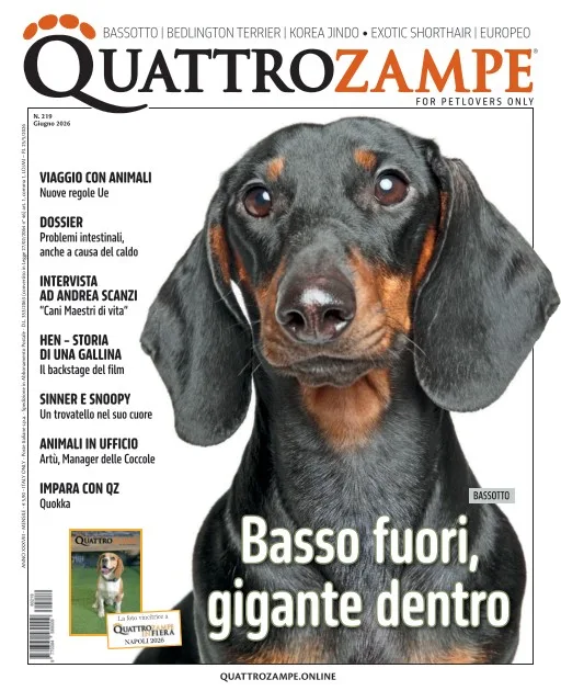 Quattro Zampe (Italiensk)