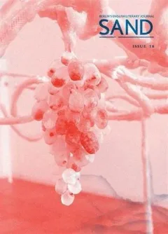 Sand Magazine (Engelsk)