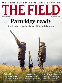 The Field Magazine