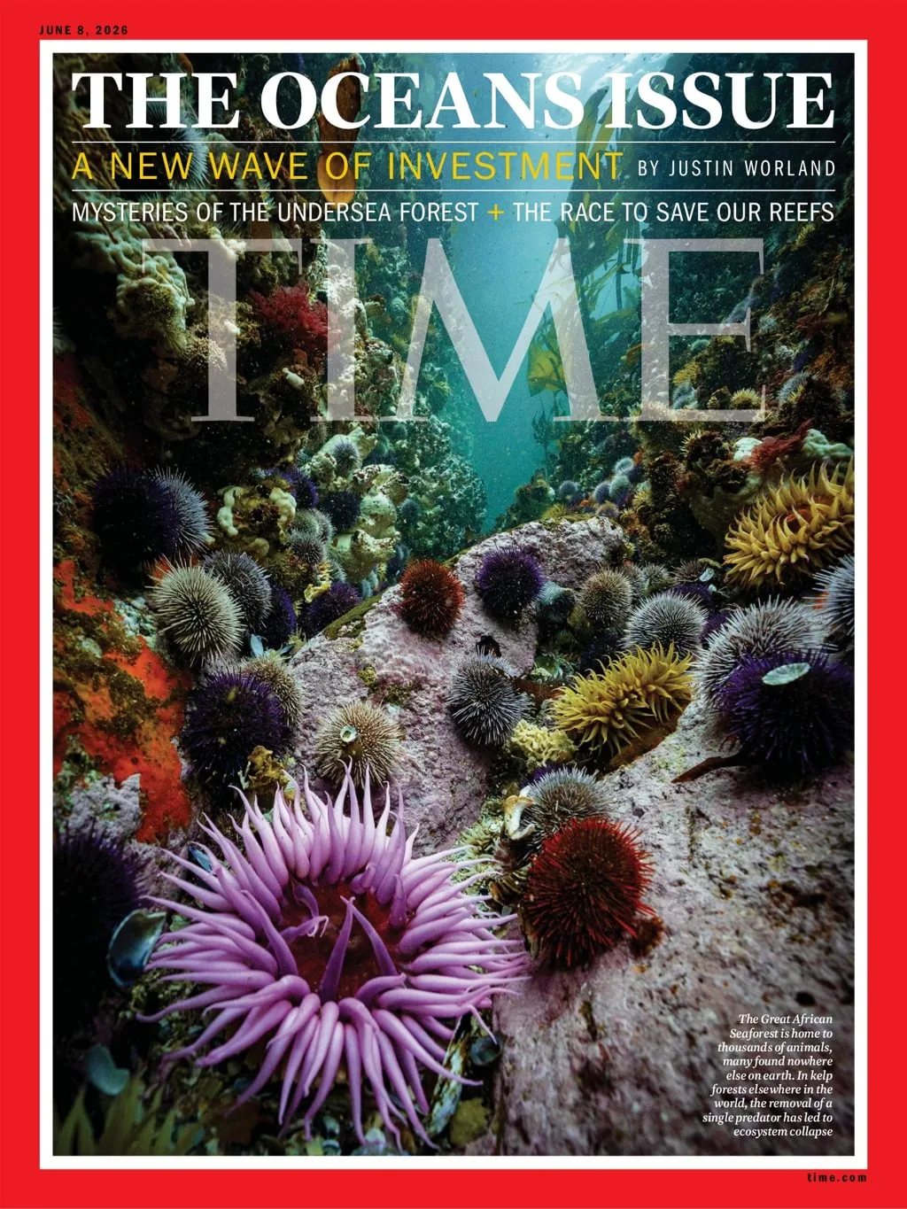 TIME Magazine (Europæisk udgave)