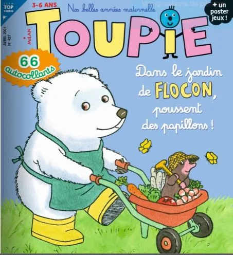 Toupie Maxi Jeux (Fransk)