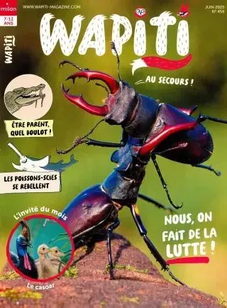 Wapiti (Fransk)