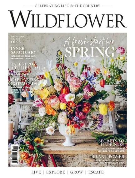 Wildflower Magazine