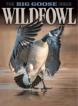 Wildfowl Magazine 1