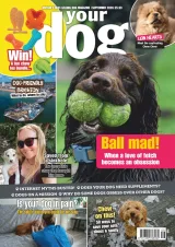 Your Dog Magazine 1